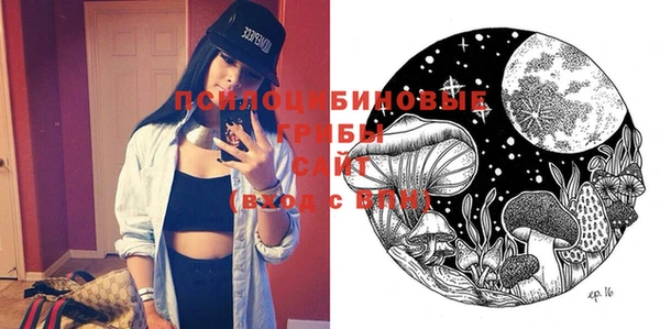 спиды Калининец