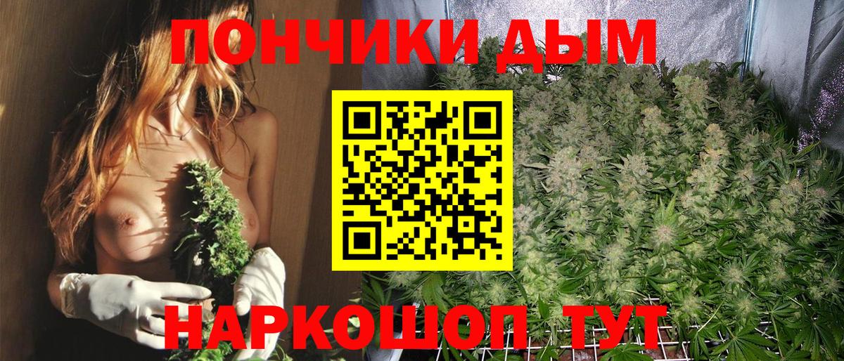Канабис семена Балахна